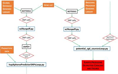 riceExplorer: Uncovering the Hidden Potential of a National Genomic Resource Against a Global Database